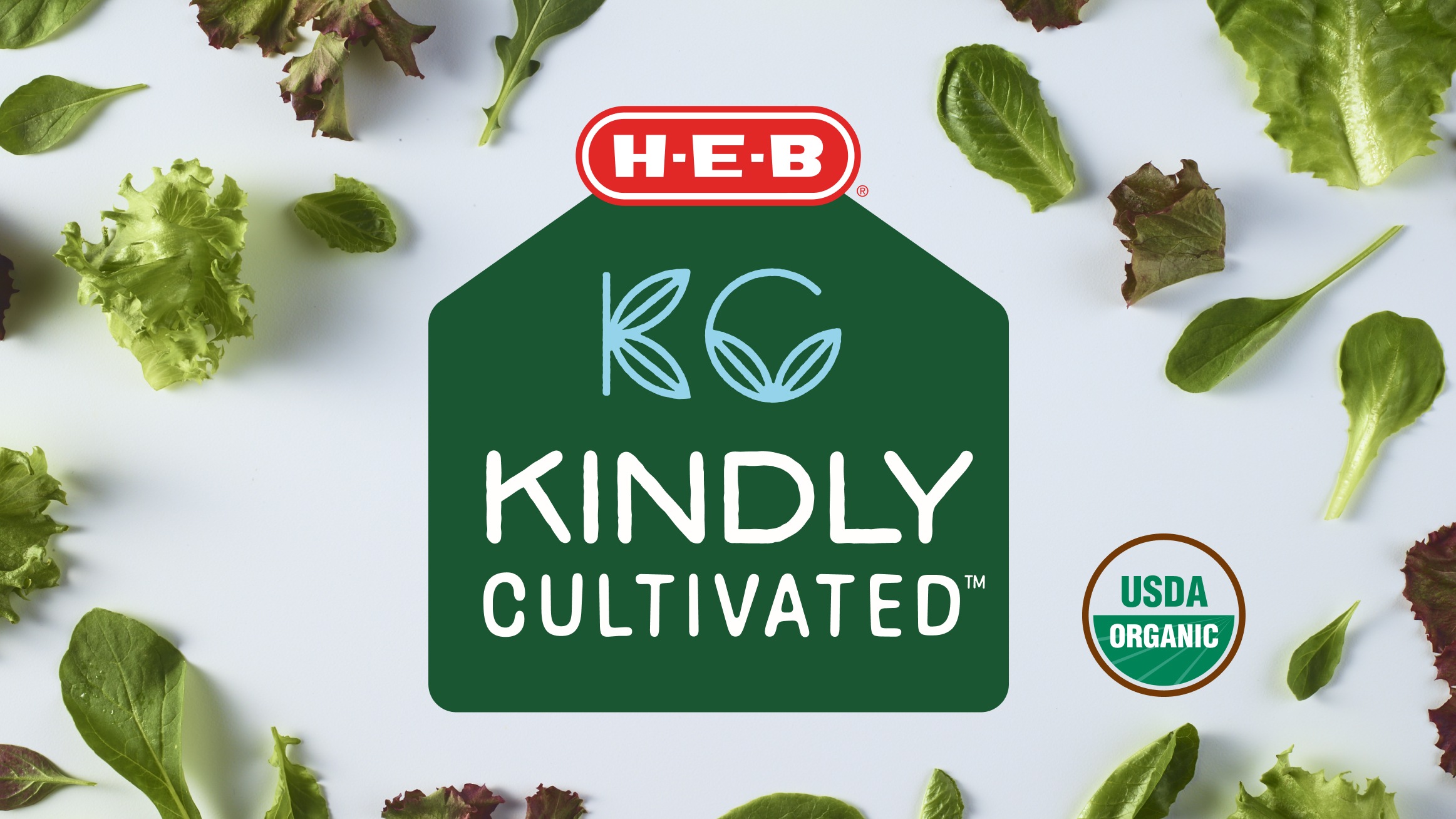 Kindly cultivated 