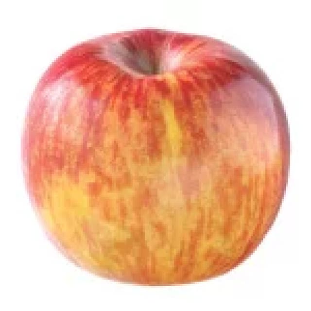 Kiku apple