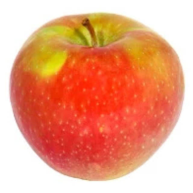 Honeycrisp apple